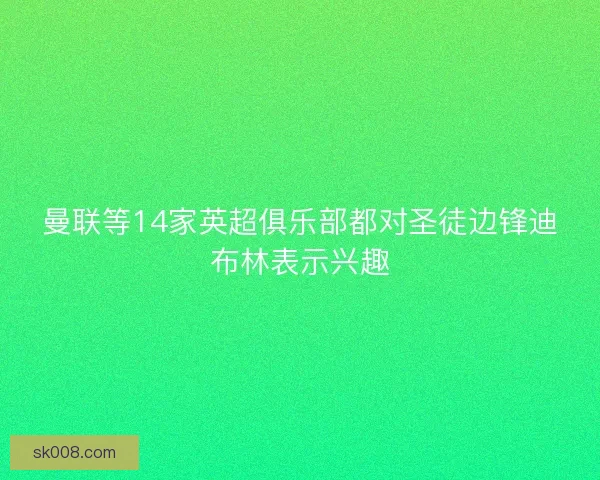 曼联等14家英超俱乐部都对圣徒边锋迪布林表示兴趣